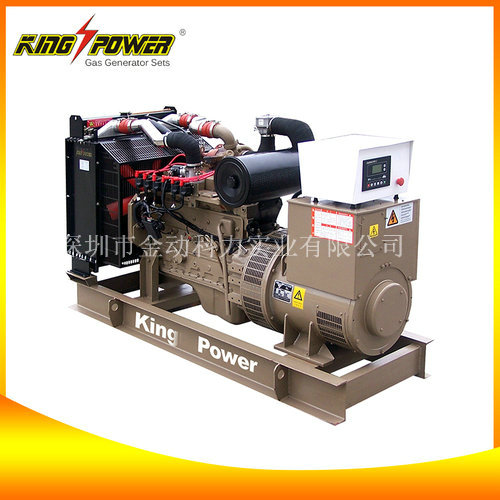 【沼氣發(fā)電機(jī)廠家】讓污染成為能源的一種！