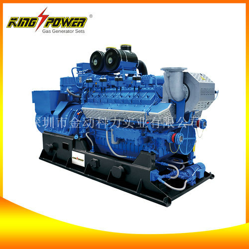 【供應(yīng)天然氣發(fā)電機(jī)】電讓世界變得更美！