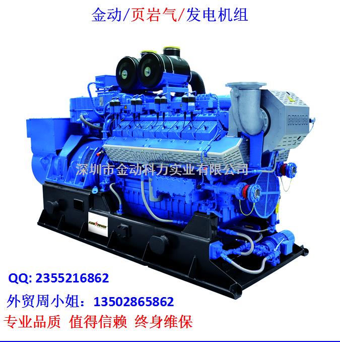 【深圳頁(yè)巖氣發(fā)電機(jī)】 發(fā)展趨勢(shì)無(wú)懈可擋！